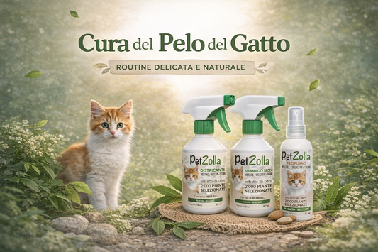 Pelo Gatto guida completa