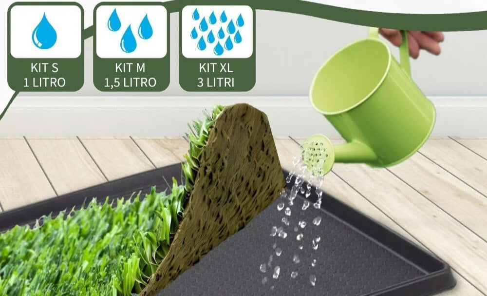 Guida completa all’uso ed all’irrigazione della PetZolla