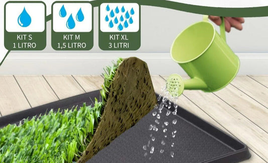 Guida completa all’uso ed all’irrigazione della PetZolla