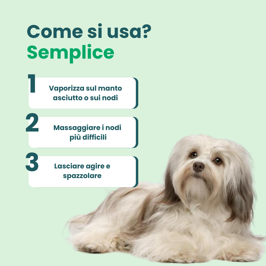 Districante Cane
