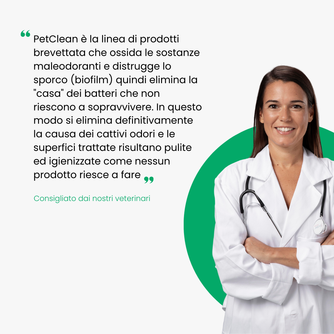 Spray Lettiere e Cucce