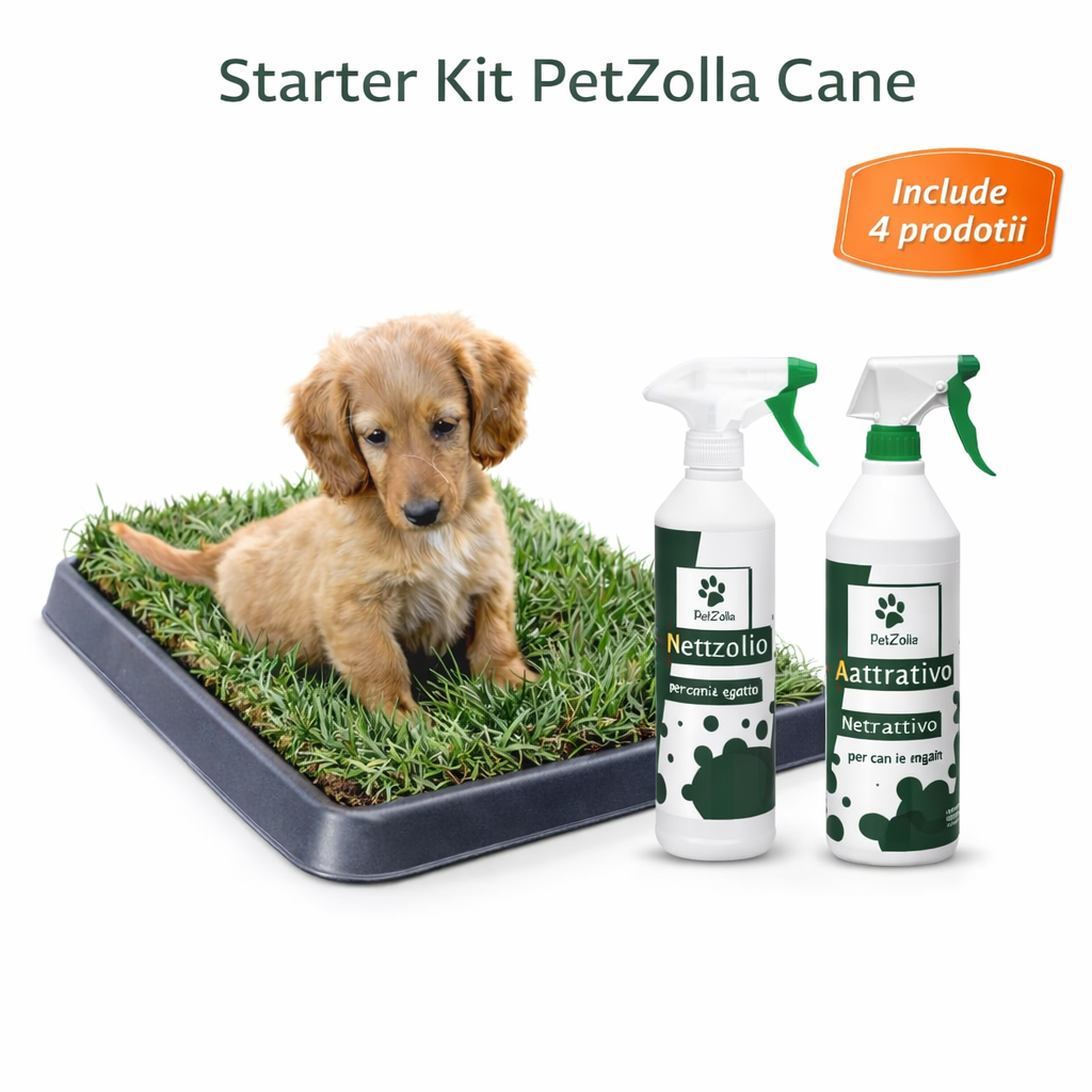 PetZolla Pack 4 Cane