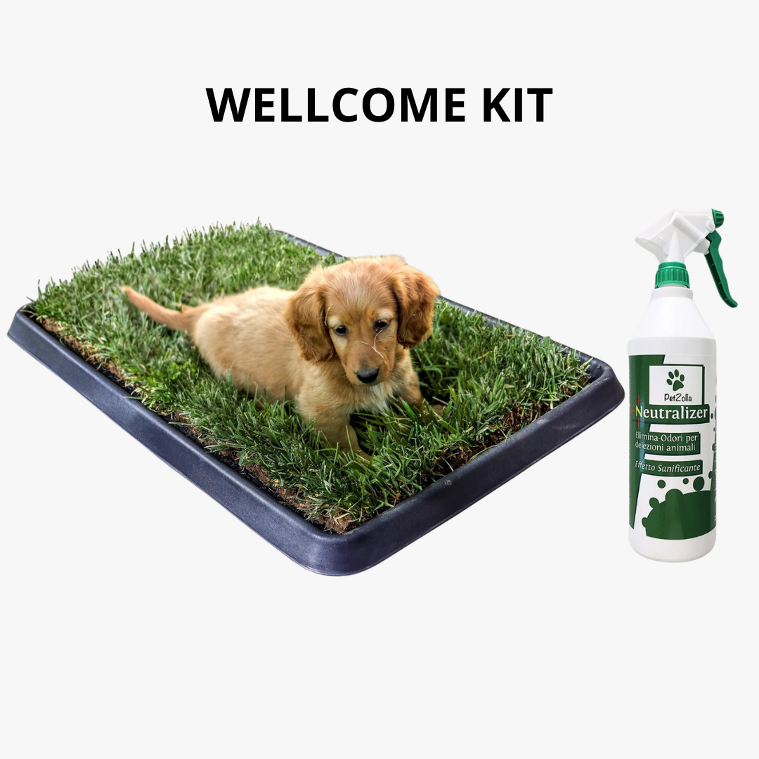 Wellcome kit Cane