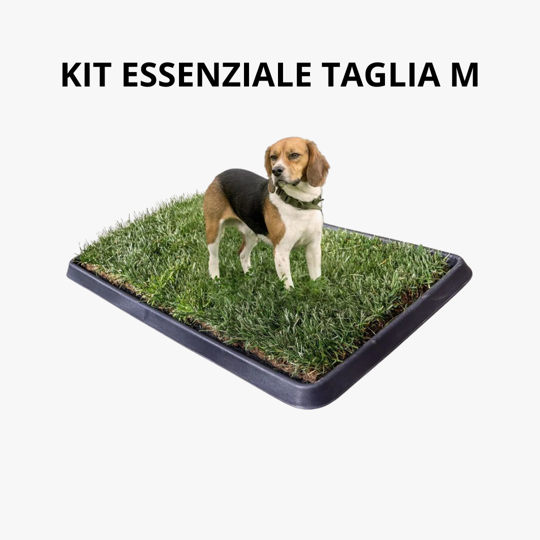 Kit Essenziale Cane