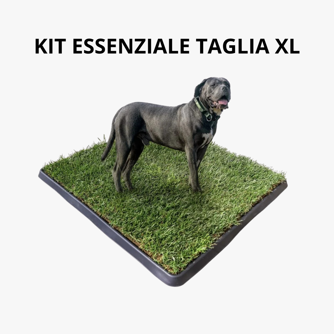 Kit Essenziale Cane