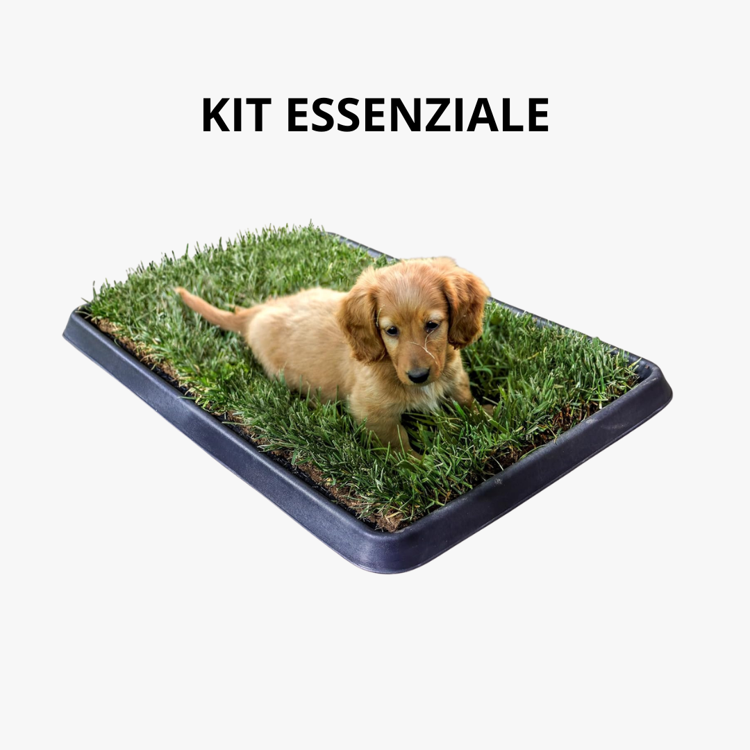 Kit Essenziale Cane