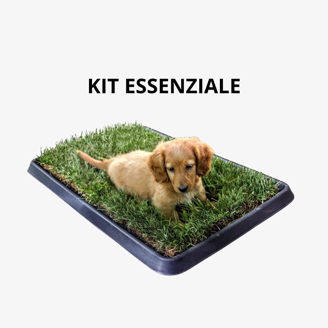 Kit Essenziale Cane