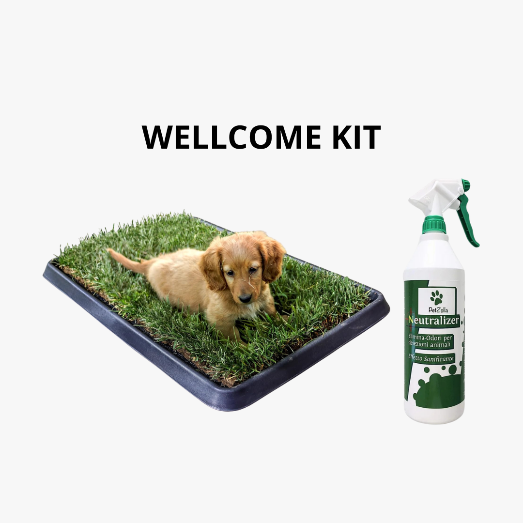 Wellcome kit Cane