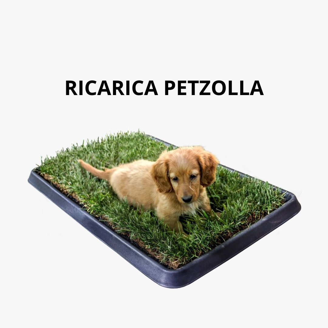 PetZolla Cane