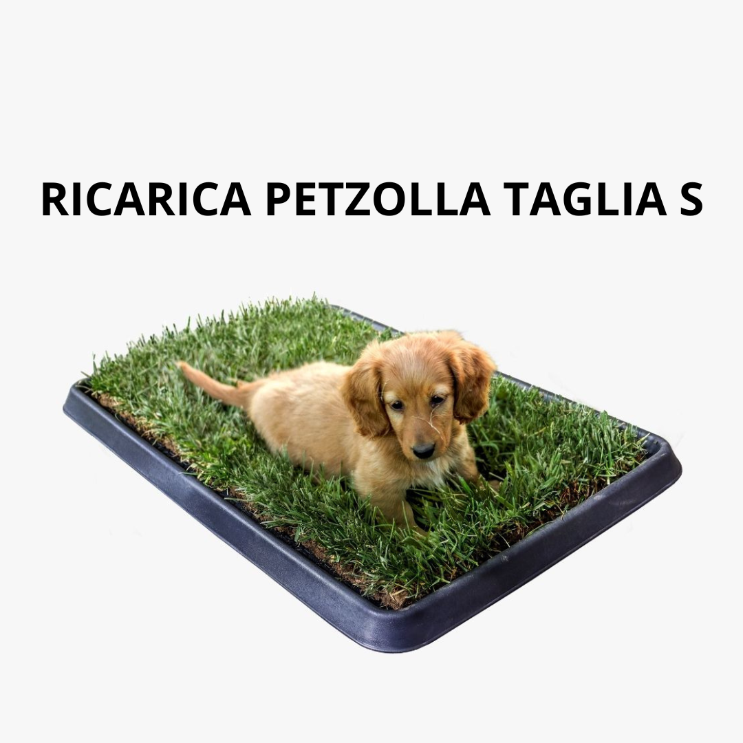 PetZolla Cane