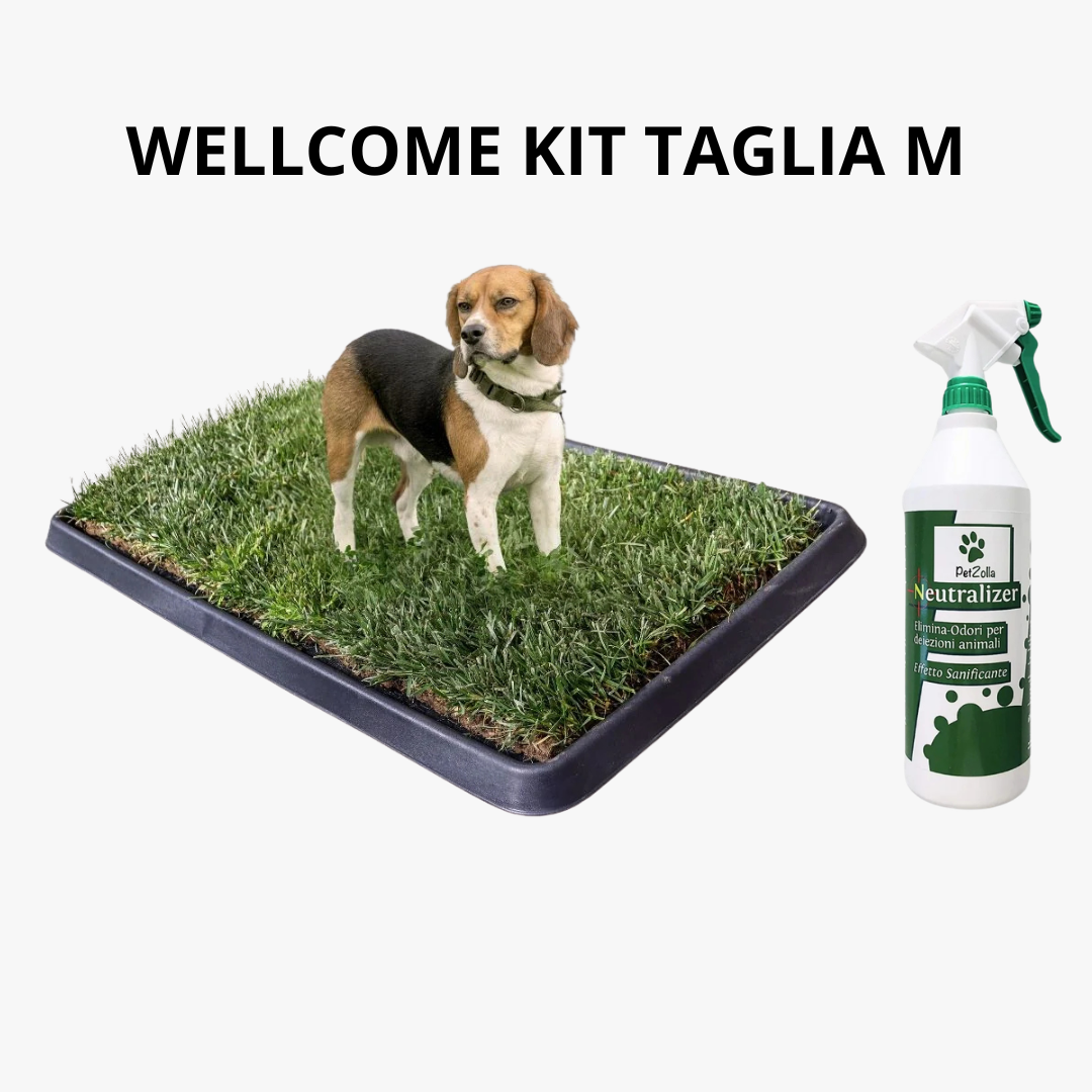 Wellcome kit Cane