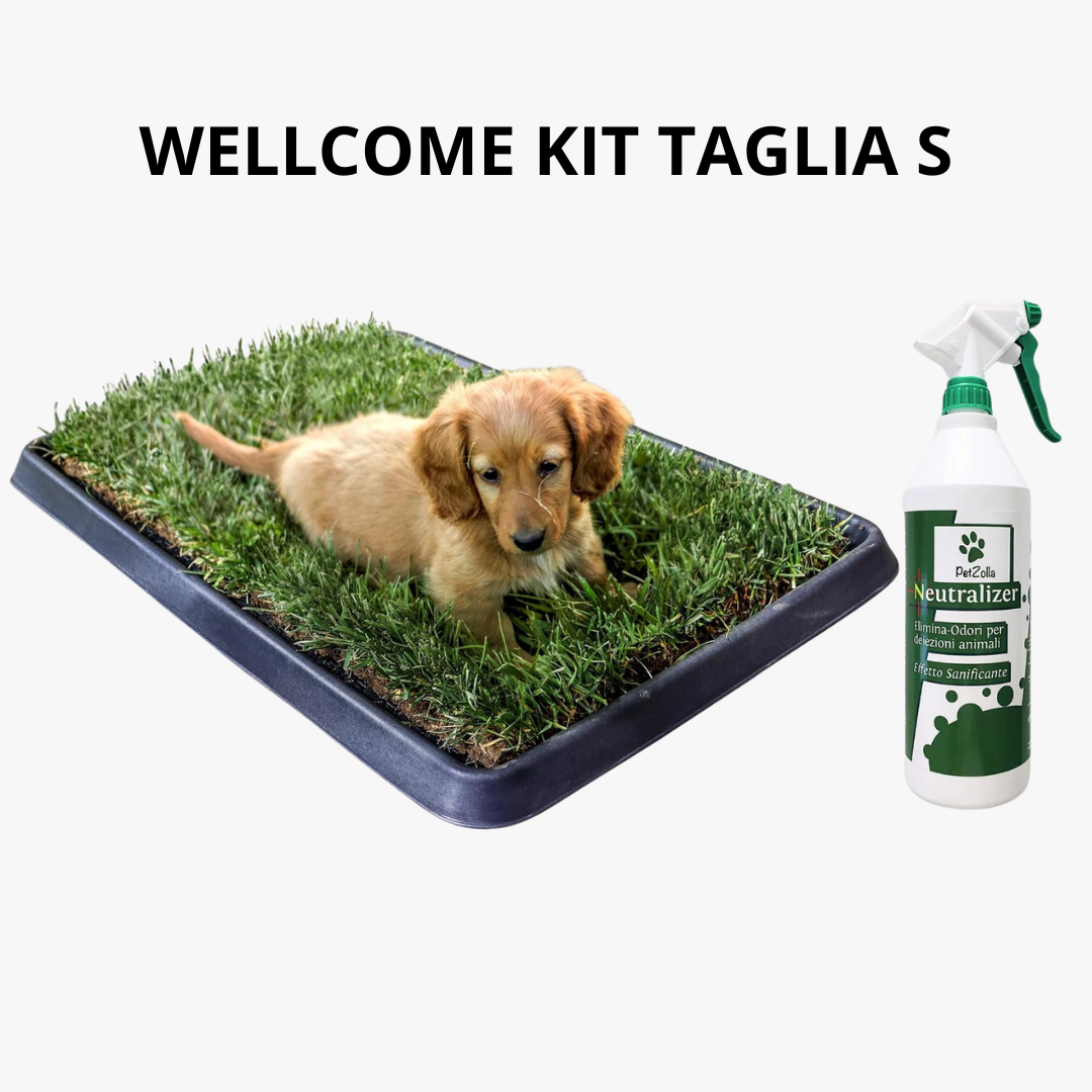 Wellcome kit Cane