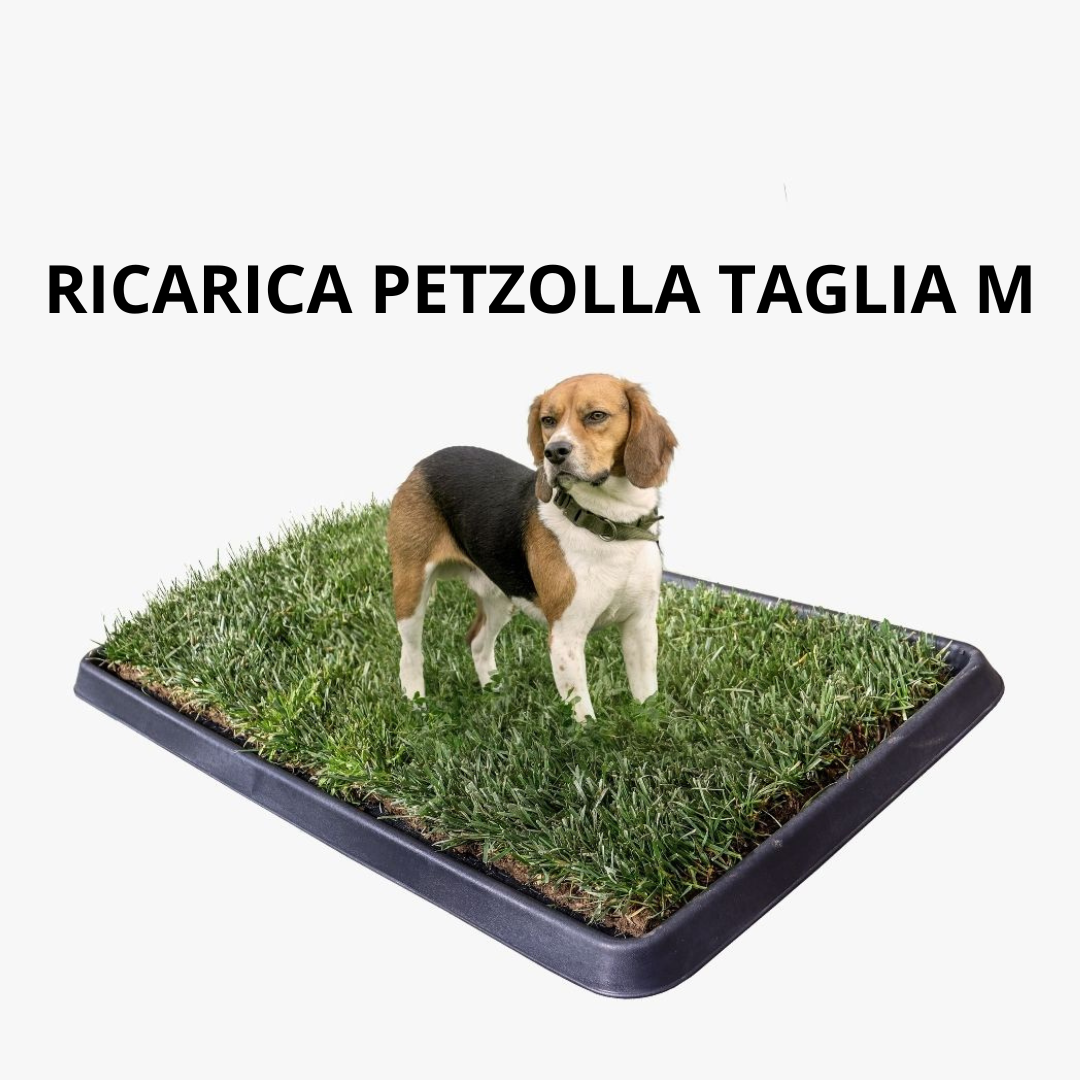 PetZolla Cane