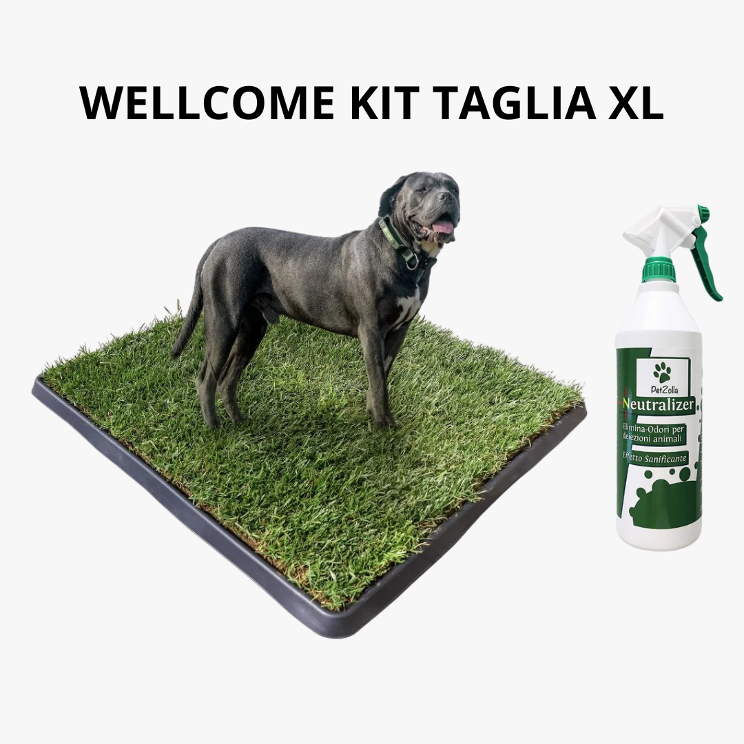 Wellcome kit Cane
