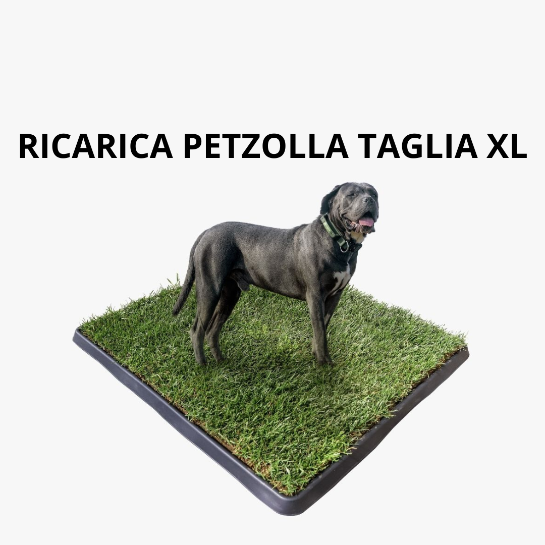 PetZolla Cane