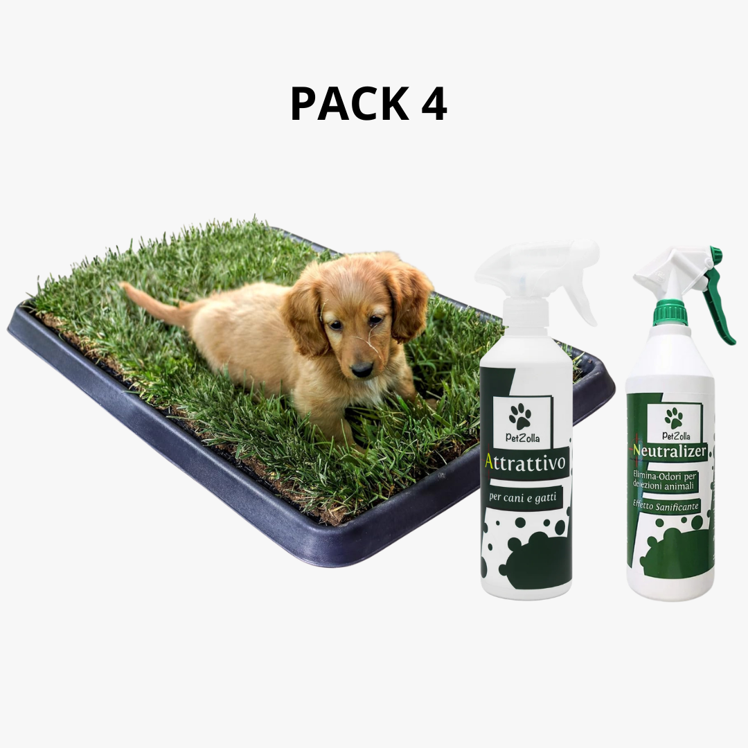 PetZolla Pack 4 Cane