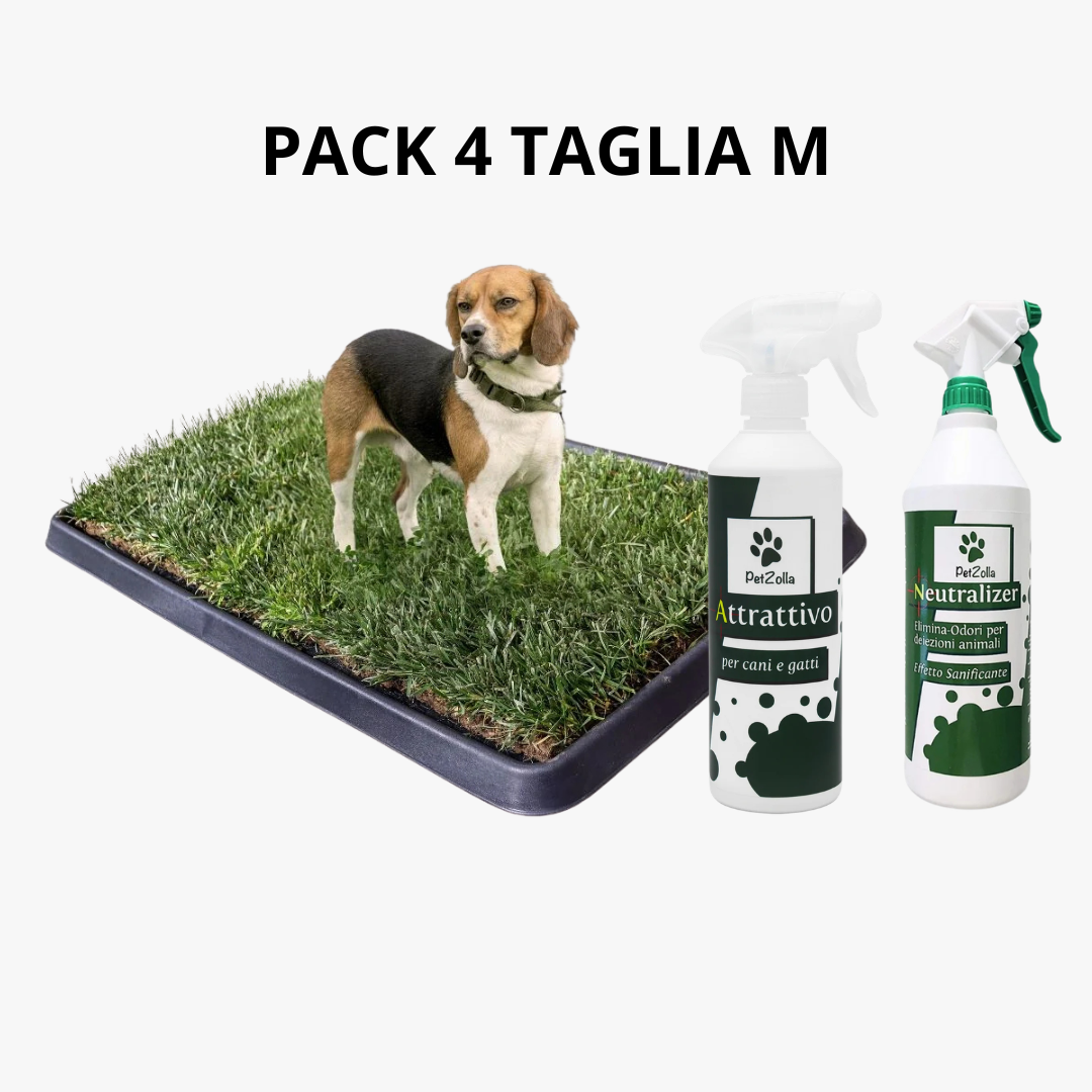 PetZolla Pack 4 Cane