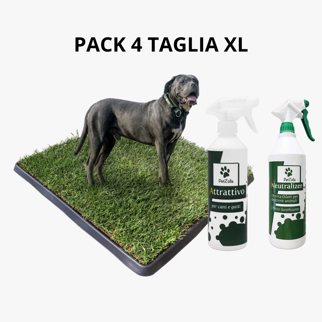 PetZolla Pack 4 Cane