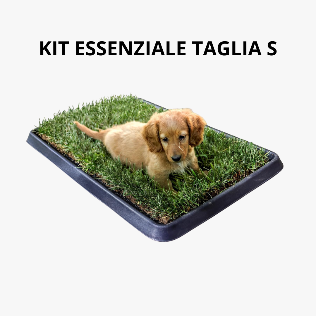 Kit Essenziale Cane