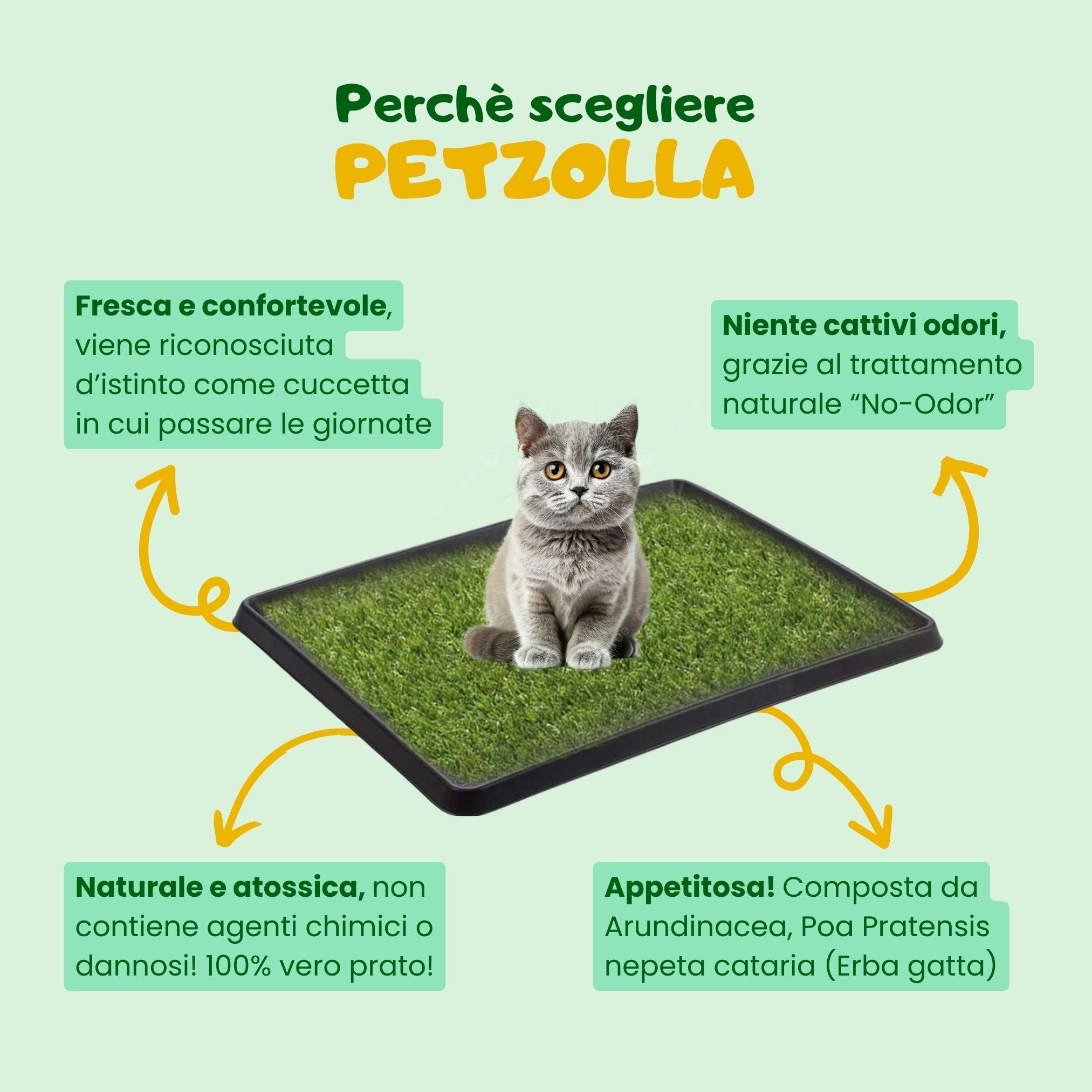 Zolla Erba Vera Per Cani E Gatti - Lettiera Naturale 125x40 Cm, Riciclabile - Foto 9