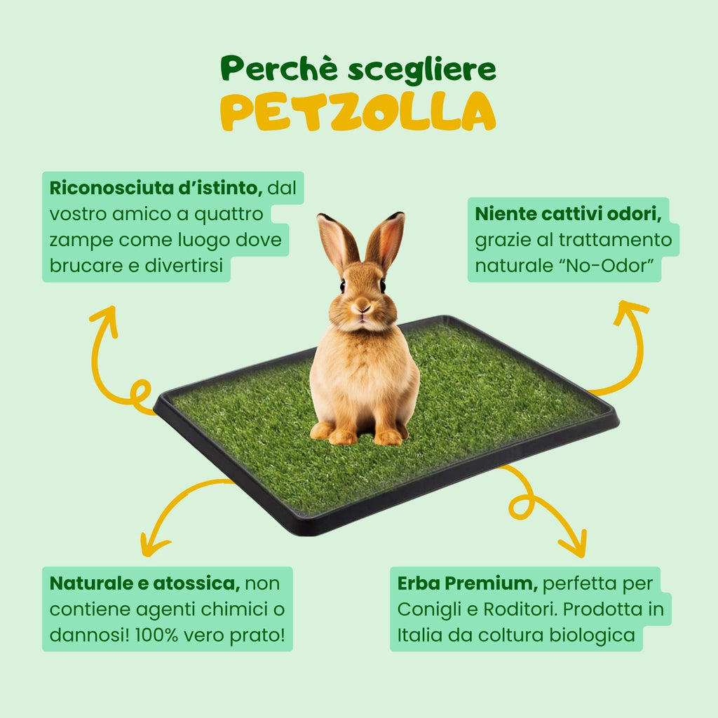 Ricarica Zolla Erba PetZolla Per Conigli 60x40cm - Naturale, Rinfrescante, Dura Fino A 5 Mesi