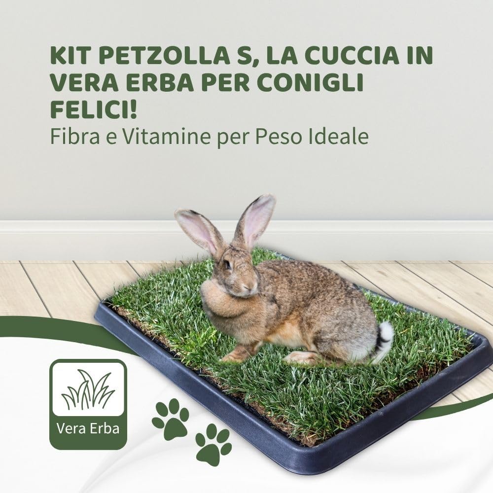 Petzolla Coniglio