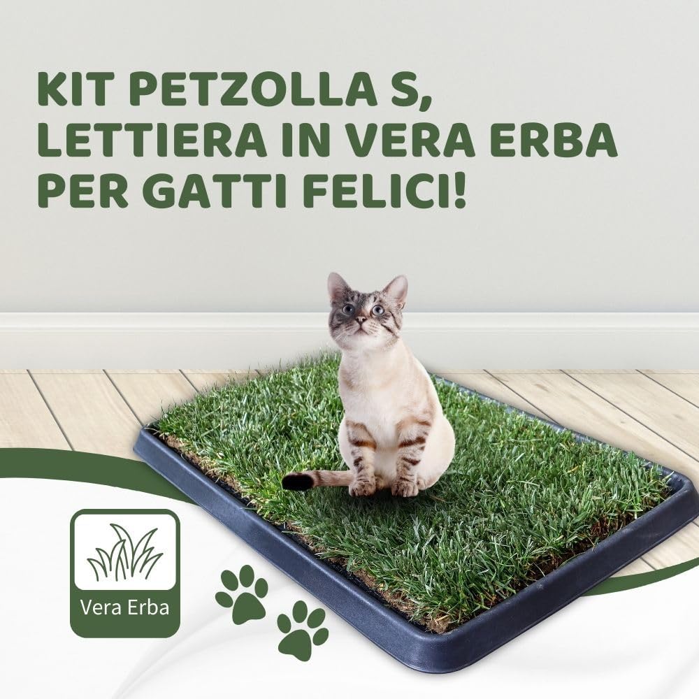 PetZolla Kit Gatto