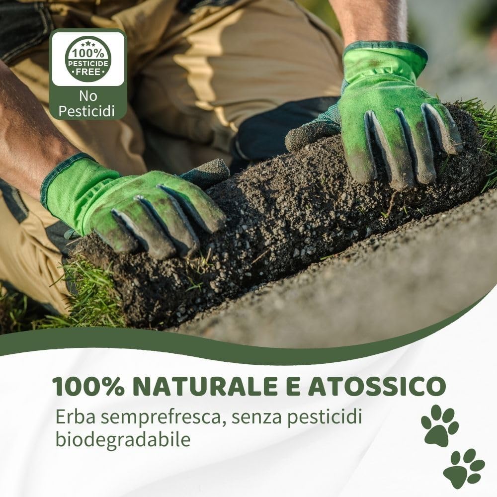 PetZolla Kit Gatto