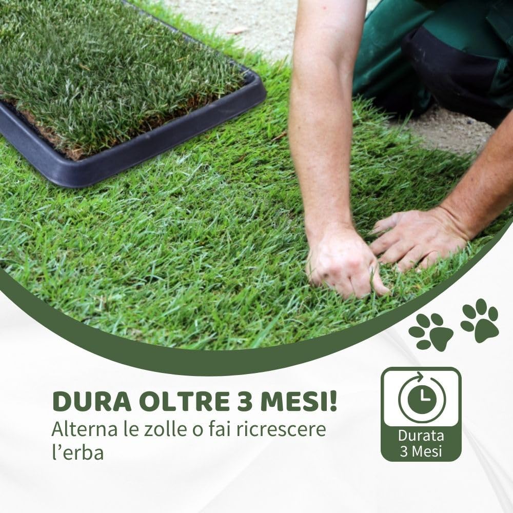 PetZolla Kit Gatto
