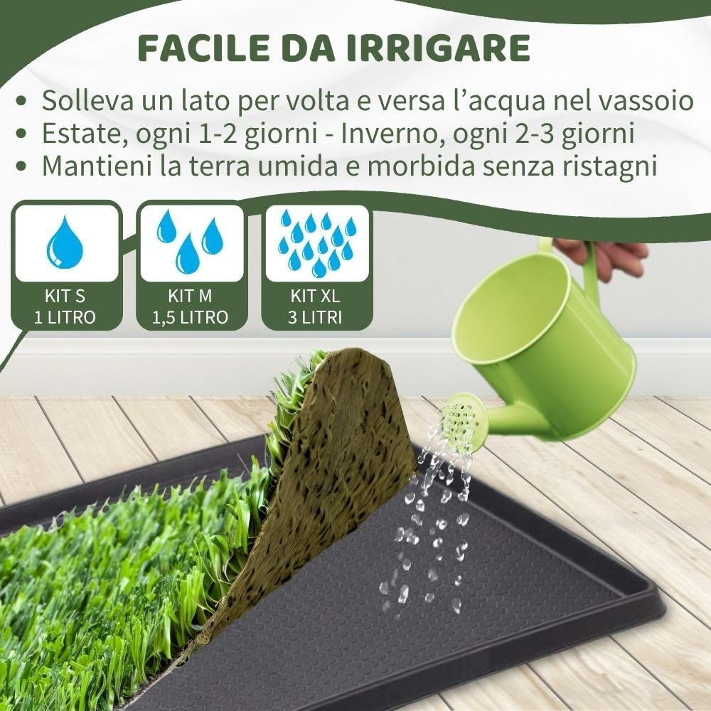PetZolla Kit Gatto