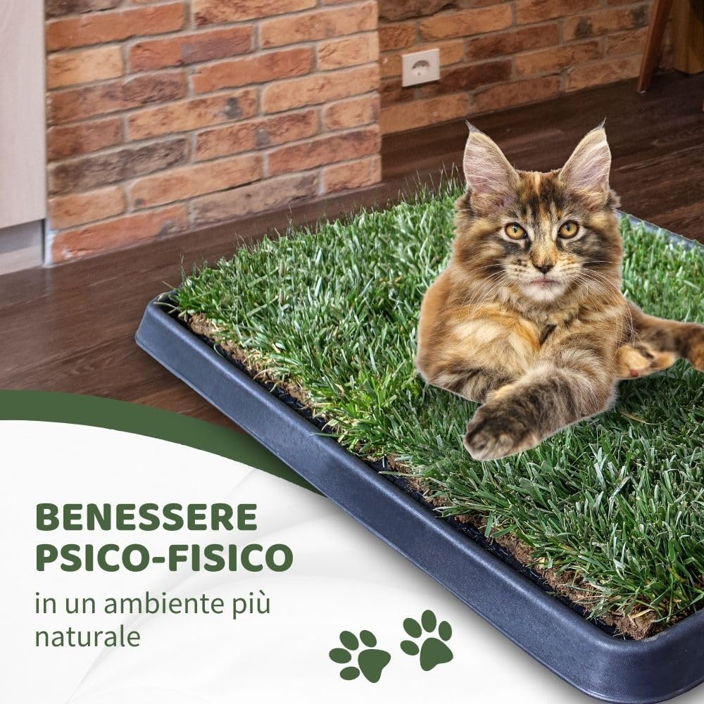 PetZolla Kit Gatto